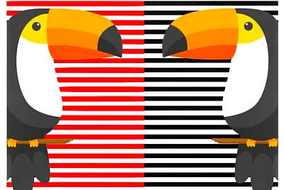 toucans