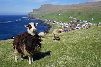 Faroese