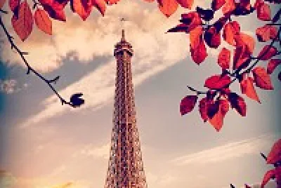 paris rosa