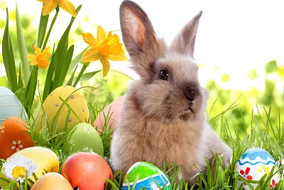 Pasqua