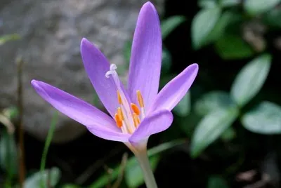 caccia al tesoro