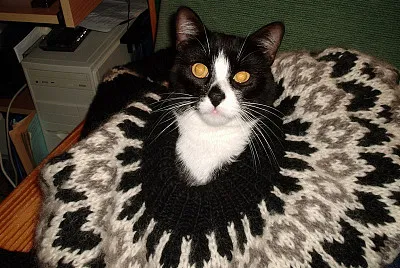 Merlin Camouflage