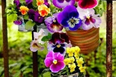cores jigsaw puzzle