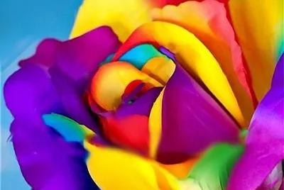 All Colors jigsaw puzzle