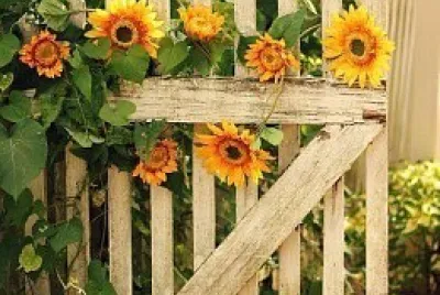 flores