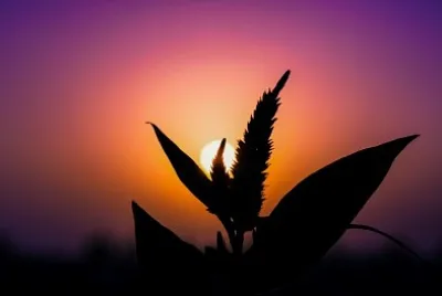 atardecer
