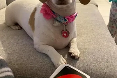 uno