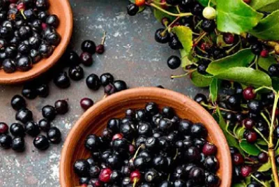 frutas