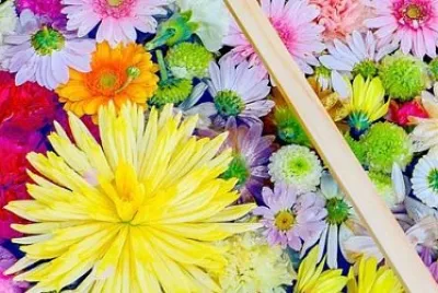 פאזל של flower