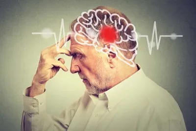 AdaptaciÃ³n a la vejez, Cerebro de adulto mayor jigsaw puzzle