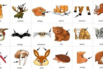  jigsaw puzzle