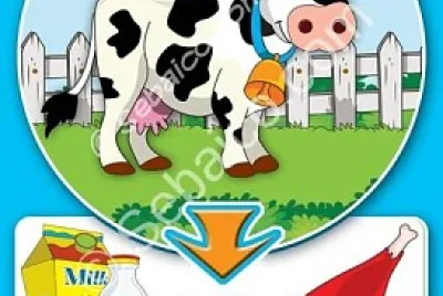  jigsaw puzzle