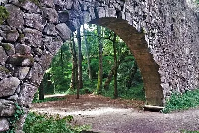 bosque encantado-pontevedra