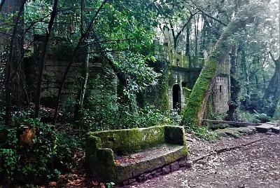 bosque encantado-pontevedra