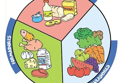 Clasificacion de alimentos