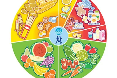 clasificaciÃ³n de los alimentos