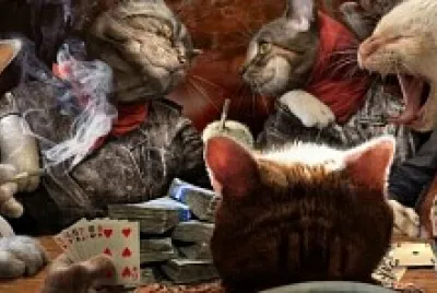 Gatos da Jogatina