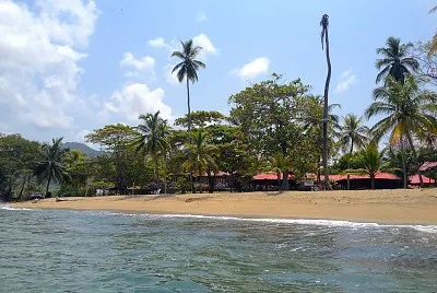 vzla