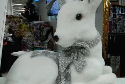 biche de Noel
