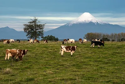 VOLCAN OSORNO,CHILE