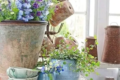 flores