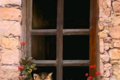 gato