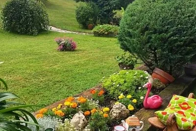 jardin