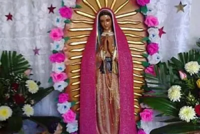La rosa de Guadalupe