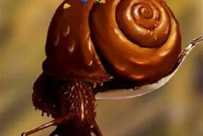 escargot en chocolat