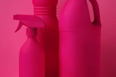 rosa