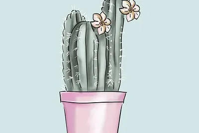 naturaleza
