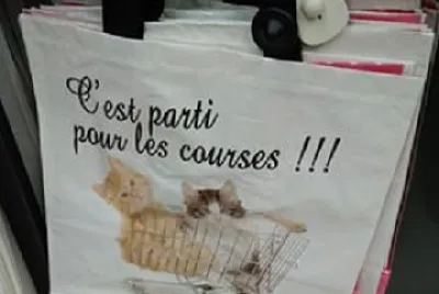 Cabas pour les courses