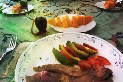 melon porto gigot avovat