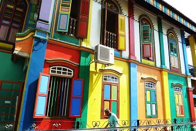פאזל של casa singapura