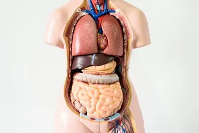 Ciencias Naturales