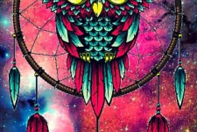 Bhuos, Aves, Pajaros