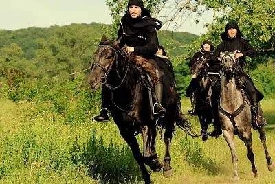 Horses