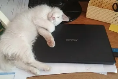 Computadora de almohada