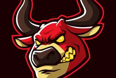 bulls