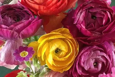 flores