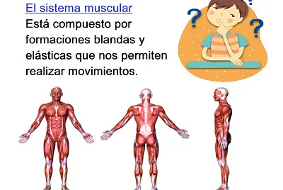 Para mis corazones de 2do grado I.E. SJB