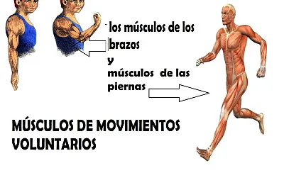 Rompecabezas NÂ° 3