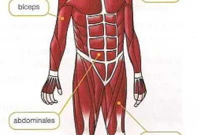 Rompecabezas NÂ° 5