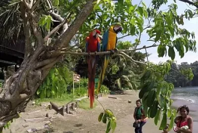 vzla
