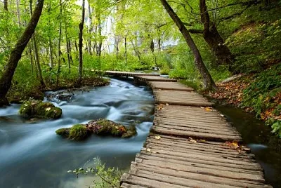 פאזל של Naturaleza