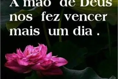 Boa Noite 3