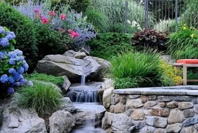 jardin