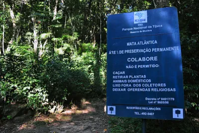 Floresta da Tijuca - Rio de Janeiro