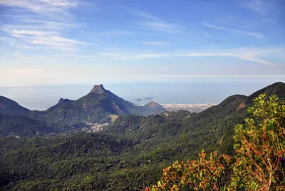 Floresta da Tijuca - Rio de Janeiro