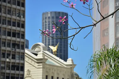 Centro do Rio de Janeiro - Brasil